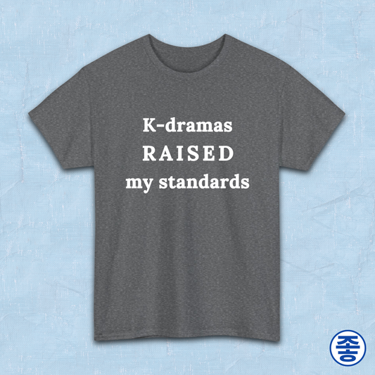K-dramas raised my standards fan t-shirt gray by Kjota
