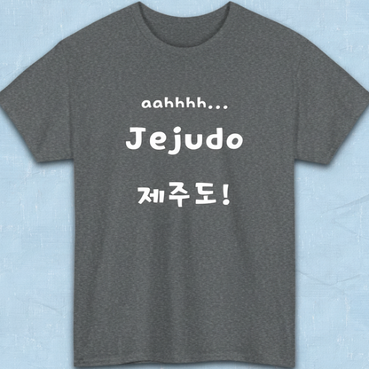 Jeju Island Korea travel 제주도 gray t-shirt flatlay by K-Jota