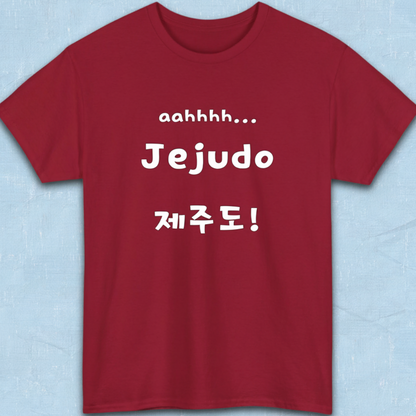Jeju Island Korea travel 제주도 red t-shirt flatlay by K-Jota