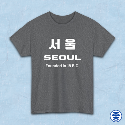 Seoul Korea founded in 18 BC travel Korean city gray travel t-shirt